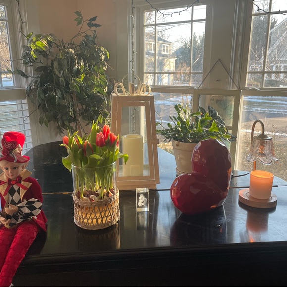 HELLO HELENA - Picture 7 of 15